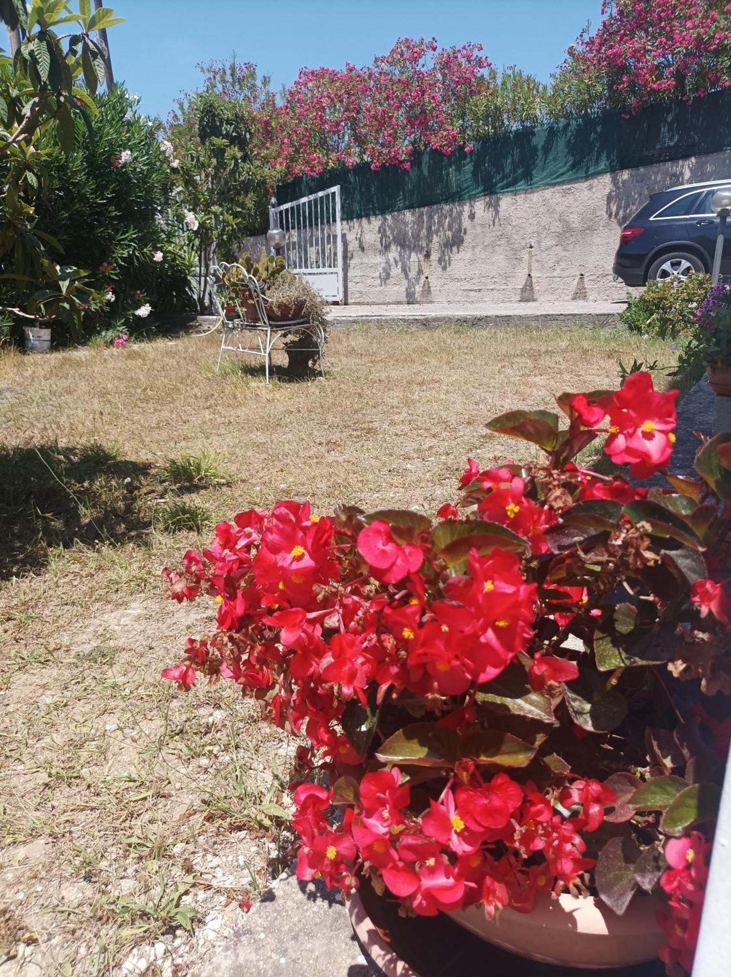 Villa Giardino Degli Oleandri ปาลีนูโร ภายนอก รูปภาพ